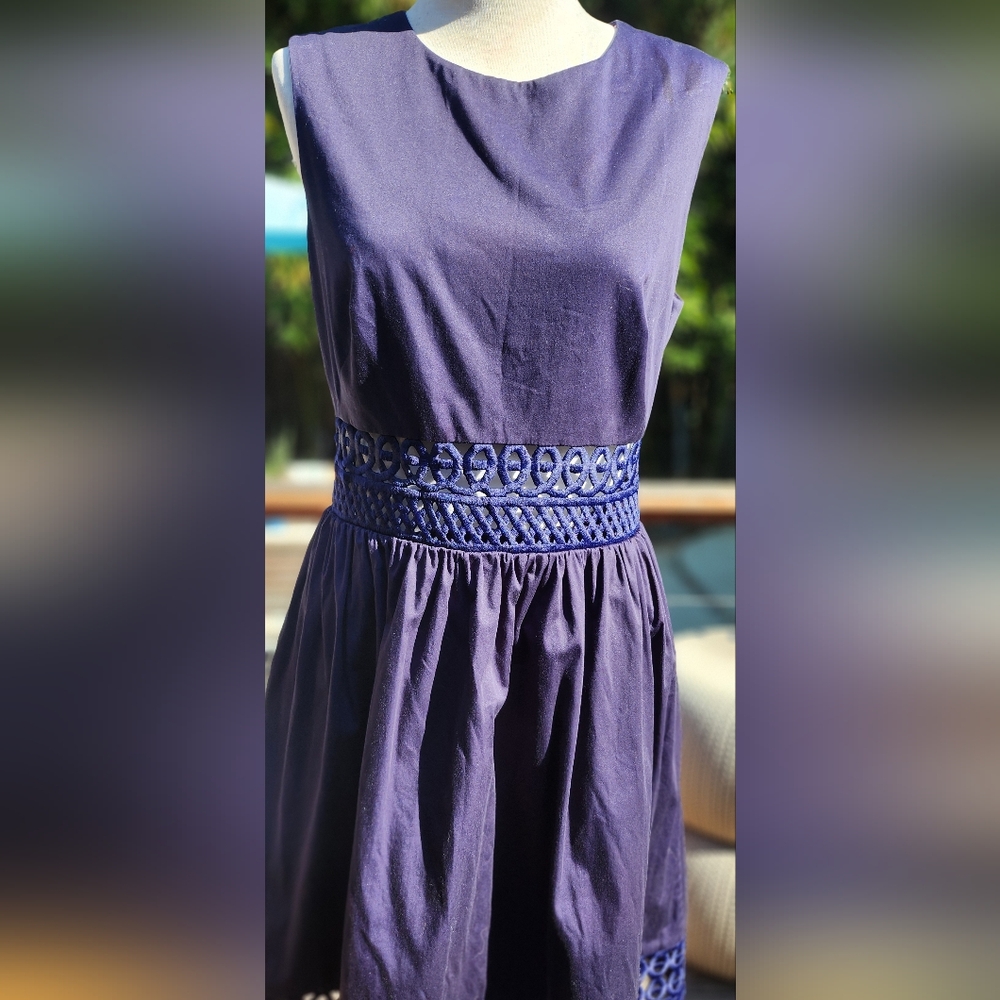 Ted Baker blue dress